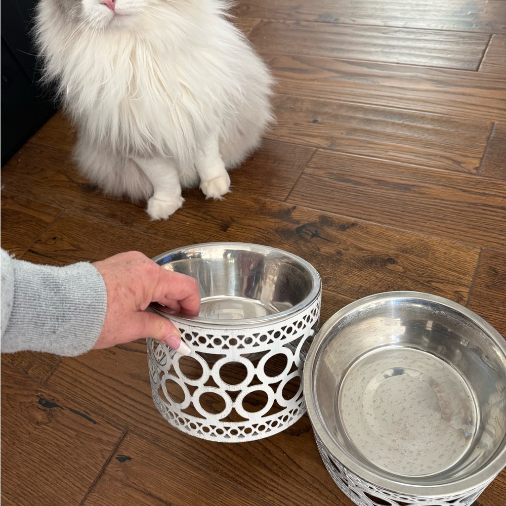 White and Silver Pet Bowls